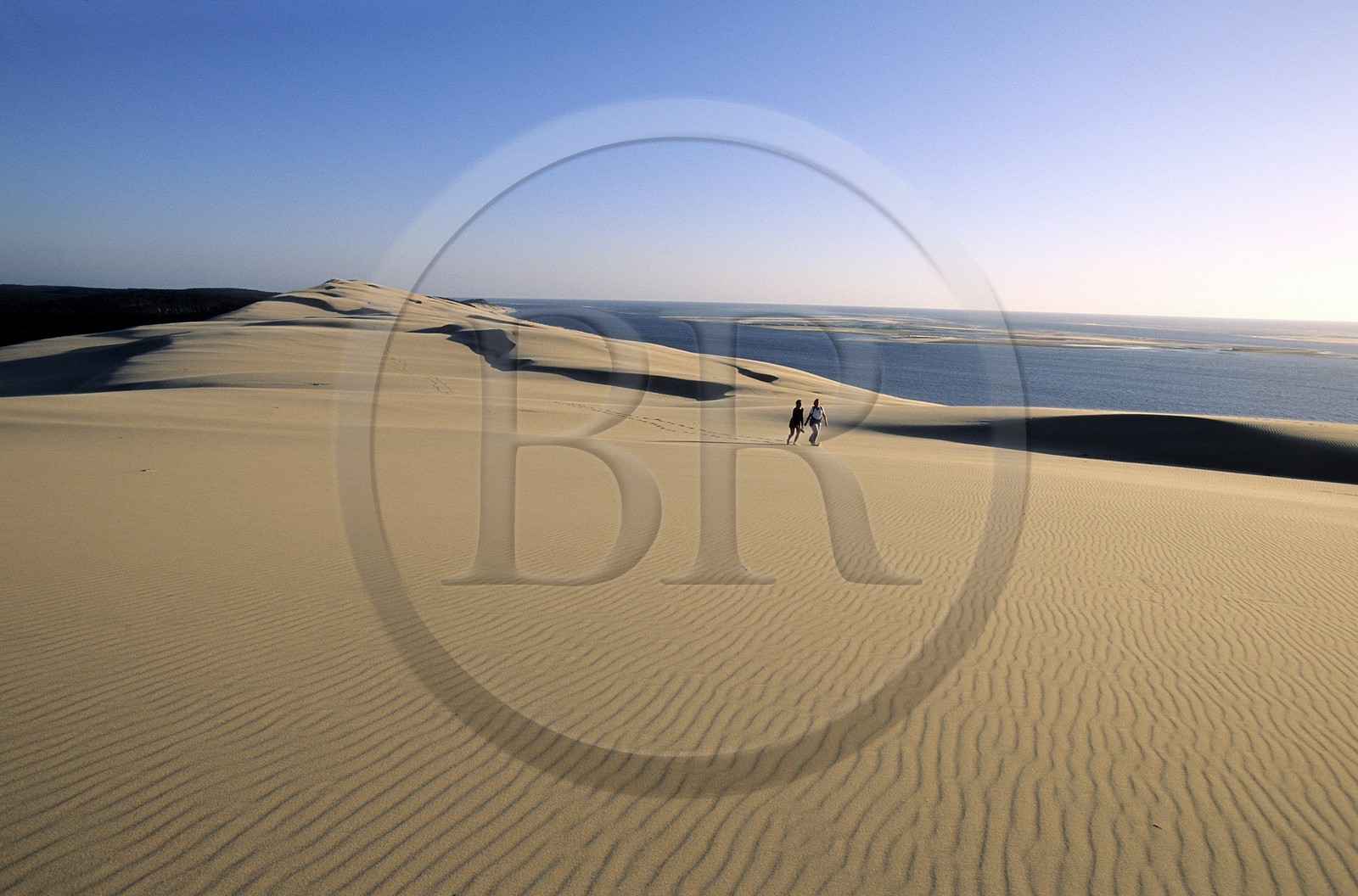 France, Gironde (33), Bassin d'Arcachon sommet de le dune du Pilat