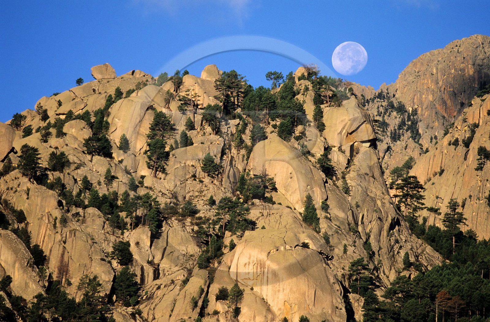 France, Corse-du-Sud (2A), Alta Rocca, les aiguilles de Bavella et pleine lune