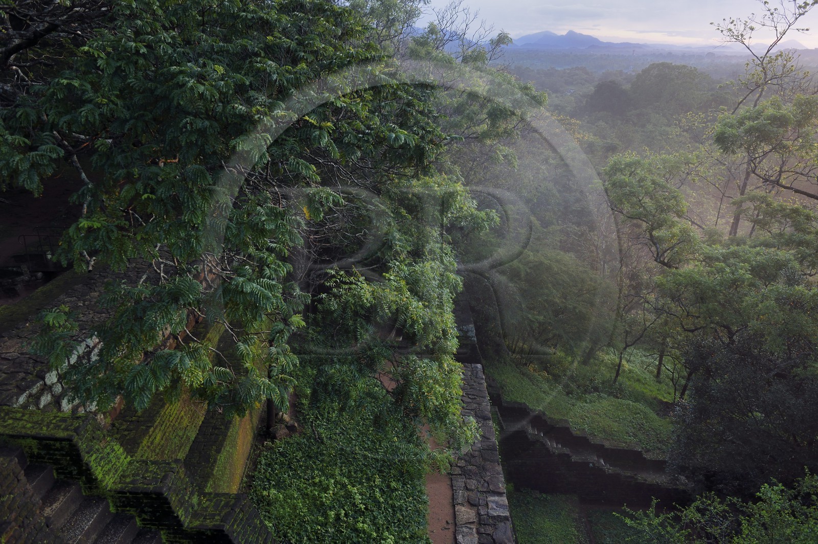 Sri Lanka, province centrale, district de Matale, Sigiriya, ville ancienne de Sigiriya classée patrimoine mondial de l'UNESCO, l'ancien palais forteresse du Rocher du Lion
