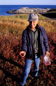 Canada, province de Québec, côte Nord, ramasseur de Baies Rouges