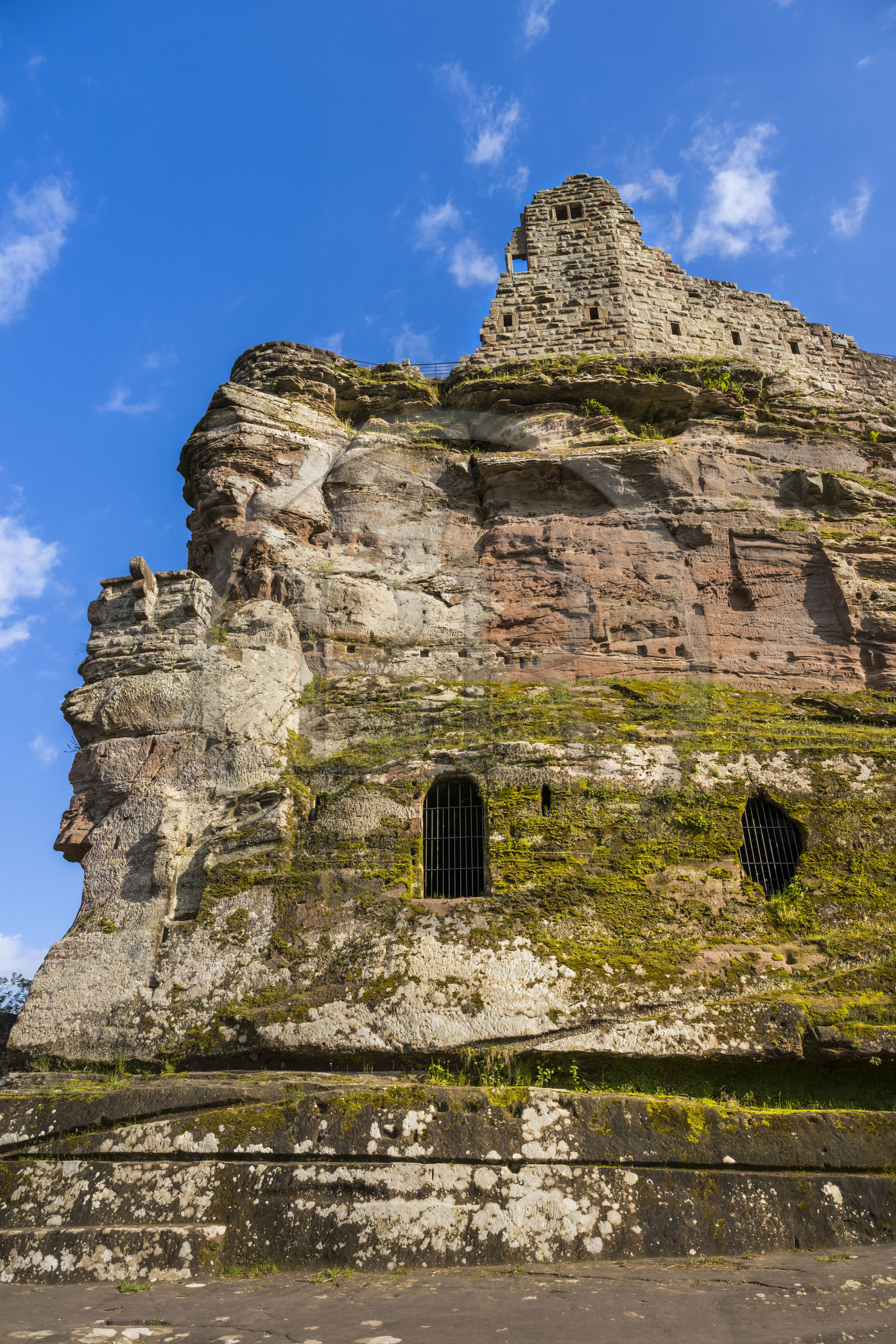 France, Bas-Rhin (67), Parc naturel régional des Vosges du Nord, Lembach, ruines du chateau de Fleckenstein