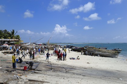 Tanzanie, Dar es-Salaam, intense activité de réparation de coques et de filets sur la plage desservant le marché aux poissons de Kivukoni
