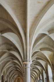 France, Paris (75), le Collège des Bernardins la nef cistercienne