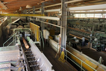 France, Moselle (57), scierie Abreschviller Sciages