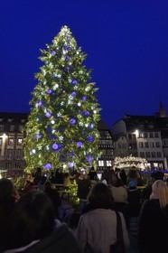 France, Bas-Rhin (67), Strasbourg, vieille ville classée au Patrimoine Mondial de l’UNESCO, le Grand Sapin de Noël de la place Kléber