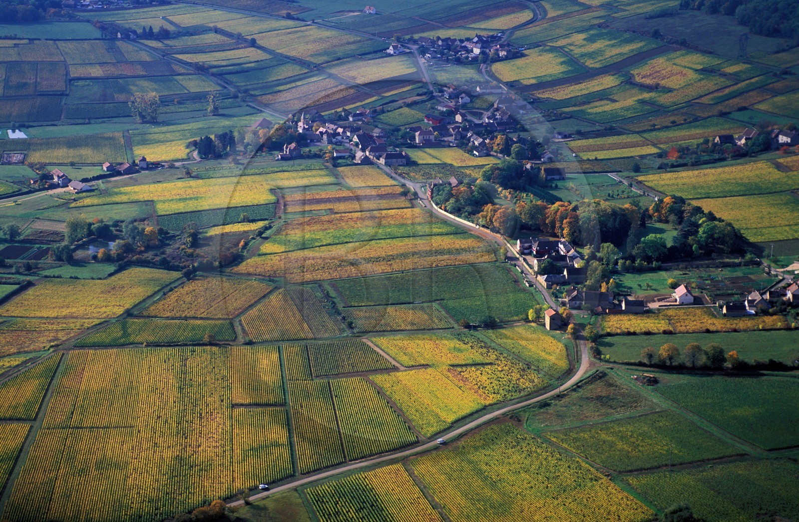 France, Saône-et-Loire (71), vignes du Chalonnais et village de Saint-Vallerin (vue aérienne)