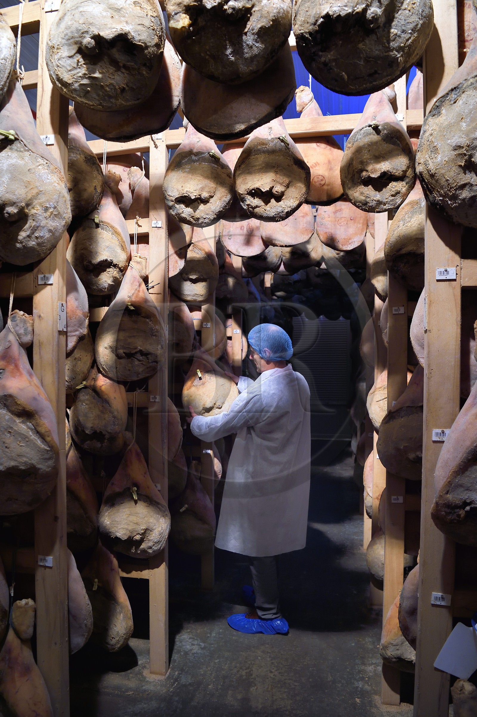 France, Pyrénées-Atlantiques (64), Pays-Basque, vallée des Aldudes, le Séchoir Collectif des Aldudes assure une prestation de séchage et l'affinage de jambons, zone de l'affinage