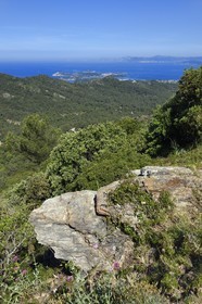 France, Var (83), Six-Fours-les-Plages, randonnée dans le massif du Cap Sicié vers la chapelle Notre-Dame du Mai, l'Ile des Embiez en arrière plan