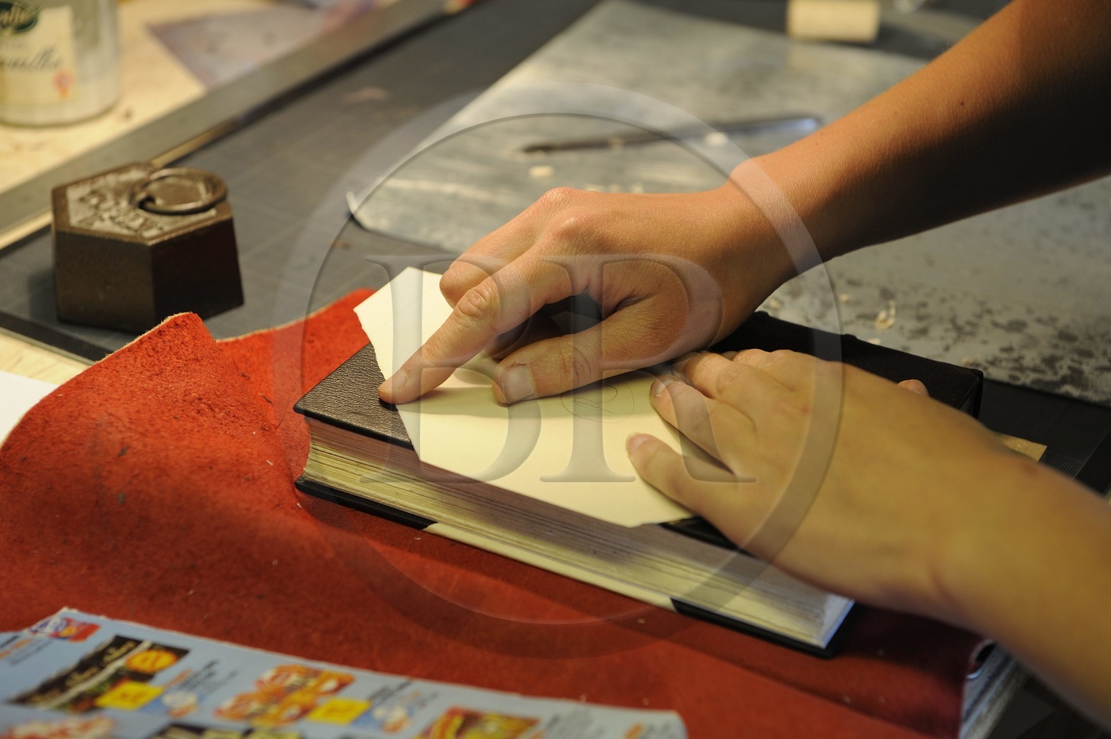 France, Côte d'Or (21), Semur-en-Auxois, ecole atelier des Arts de la reliure, unique en France