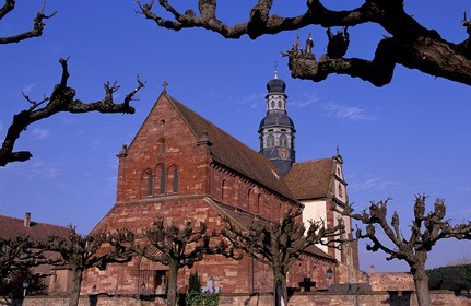 France, Bas-Rhin (67), village d' Altorf l' église Saint-Cyriaque