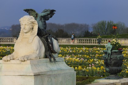 France, Yvelines (78), parc du château de Versailles, classé Patrimoine Mondial de l'UNESCO, parterre du Midi, sphinx et un des vases en bronze entourant le château
