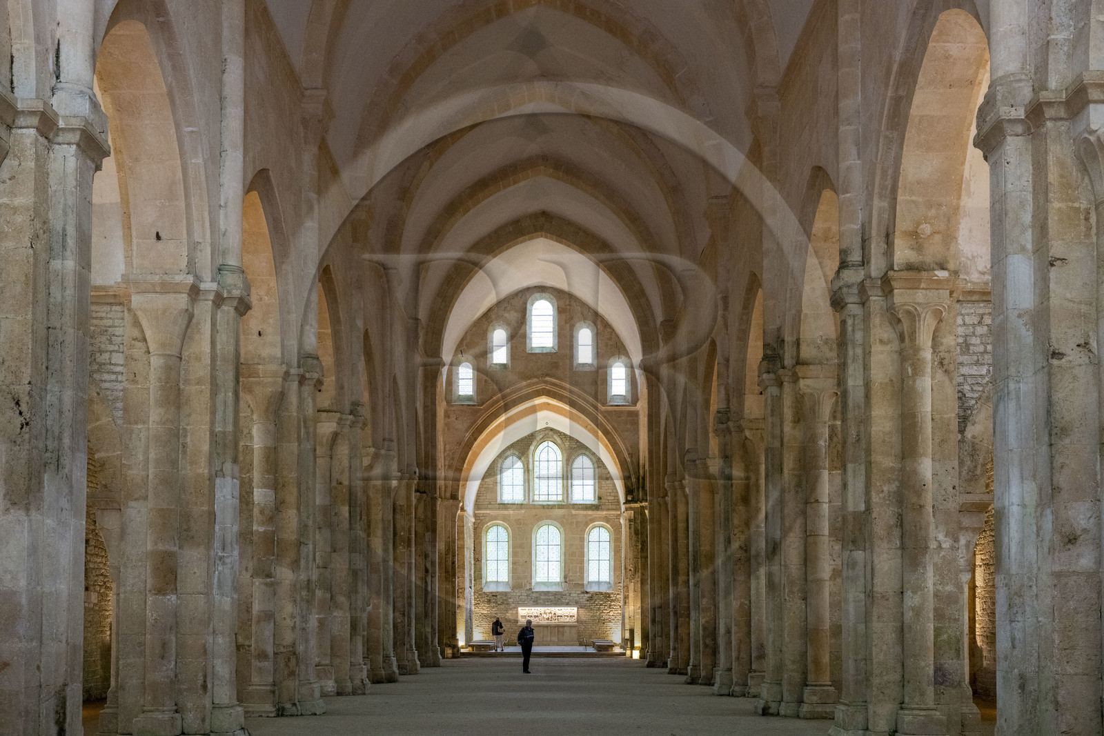 France, Côte-d'Or (21), Marmagne, l'abbaye cistercienne de Fontenay classée au Patrimoine Mondial de l'UNESCO, l'église abbatiale, voute en berceau brisé