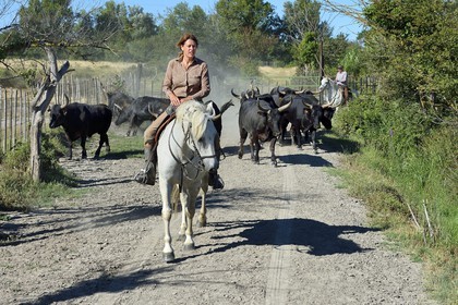 France, Bouches-du-Rhône (13), Parc naturel régional de Camargue, Mas du Menage, manade Saint Antoine (Cauzel), la manadière Florence Clauzel, éleveuse de chevaux et taureaux de Camargue