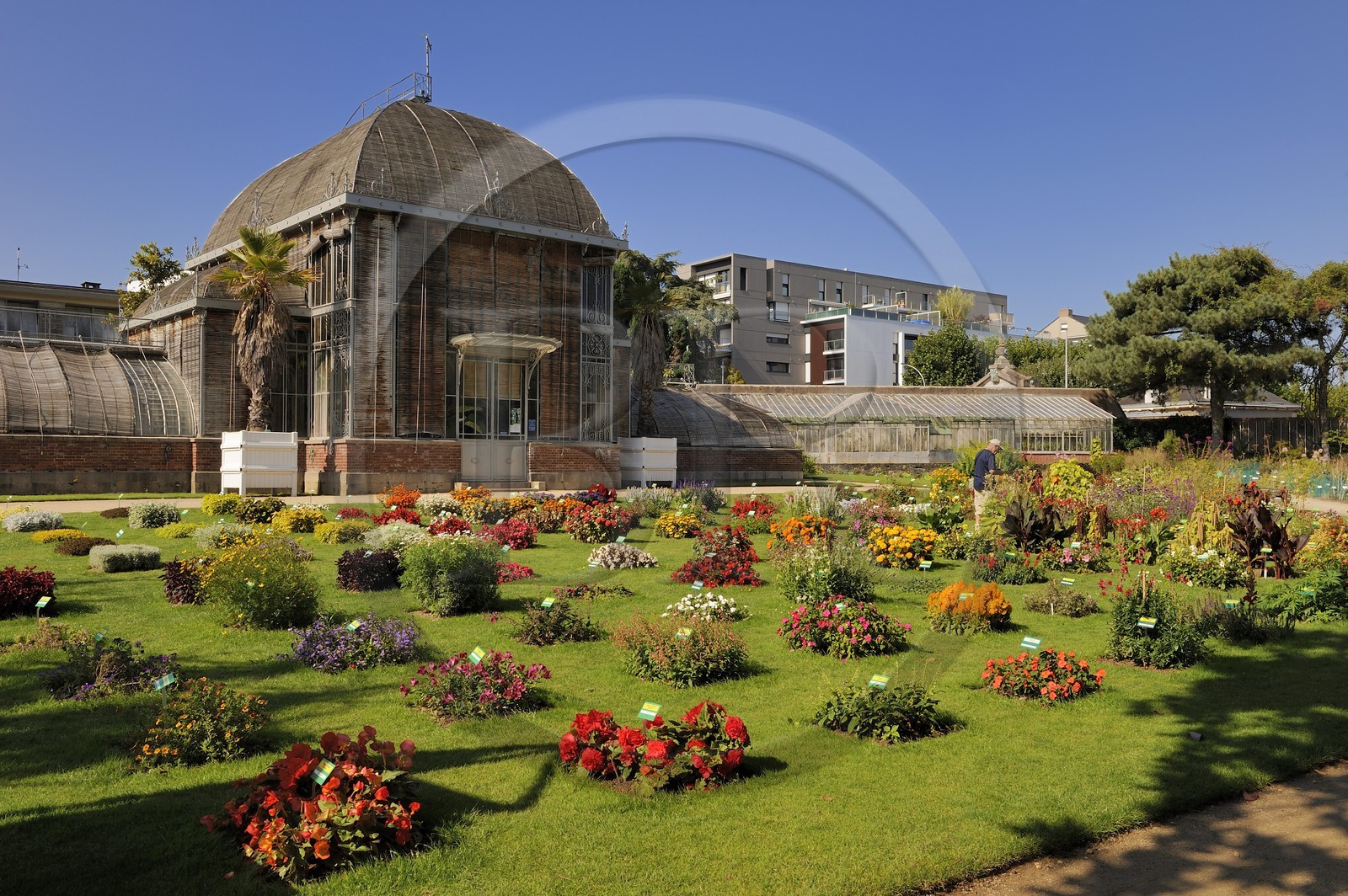 France, Loire-Atlantique (44), Nantes, le jardin des plantes