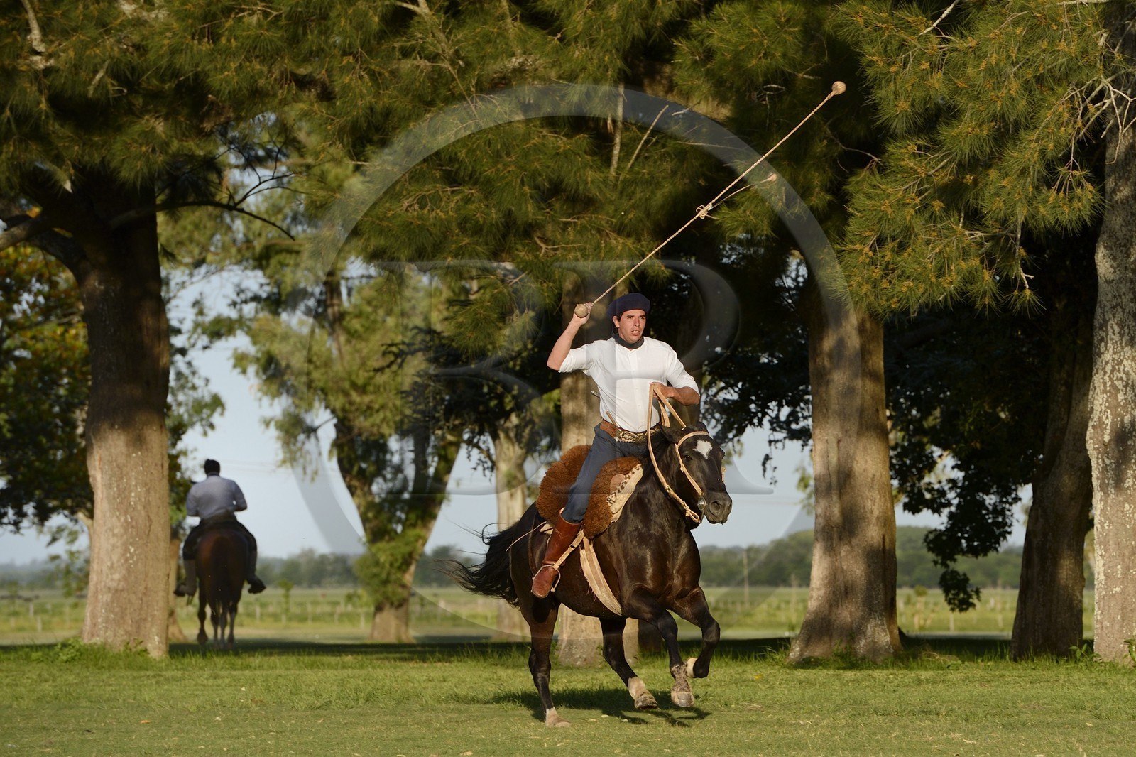 Argentine, province de Buenos Aires, San Antonio de Areco, estancia La Bamba de Areco, gaucho faisant une démonstration de l'usage des bolas (ou boleadoras) destinées à capturer les animaux en entravant leurs pattes