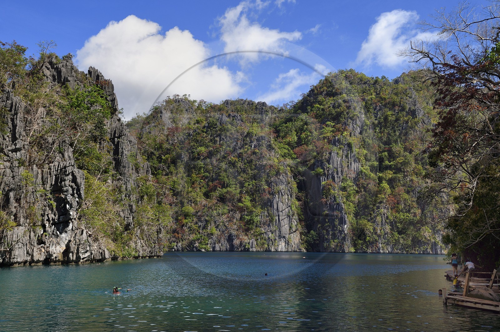 Philippines, Calamian Islands dans le nord de Palawan, Coron Island Natural Biotic Area, le lac Kayangan entouré de falaises abruptes et formations rocheuses karstique en calcaire du Permien