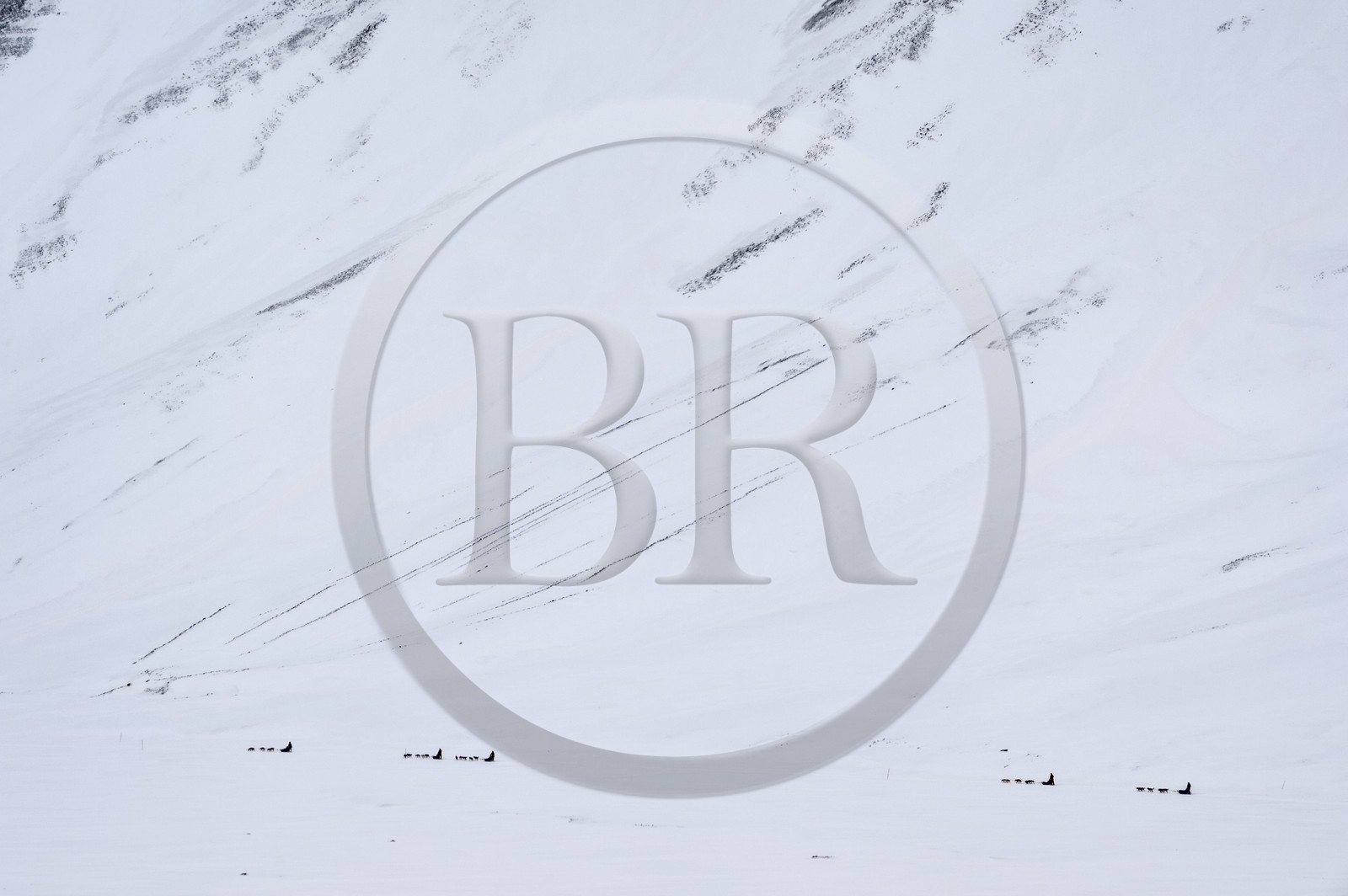 Norvège, Svalbard, Spitzberg, attelages de chiens de traineau dans la vallée de Adventdalen vers Longyearbyen
