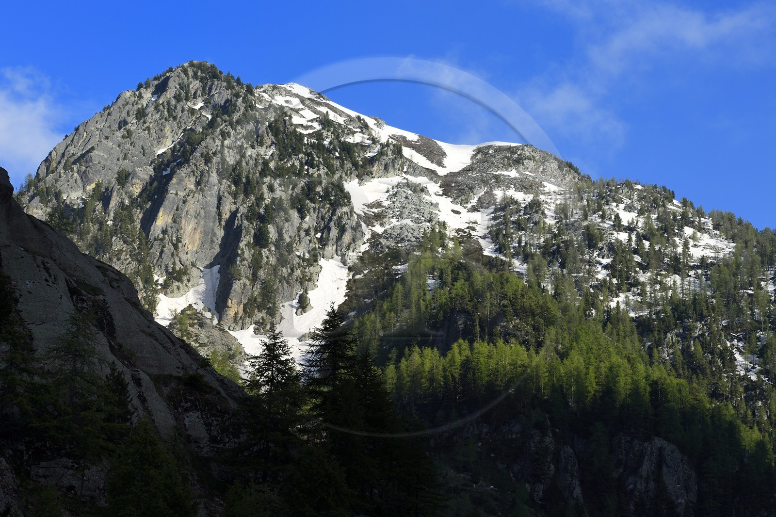 France, Alpes-Maritimes (06), parc national du Mercantour, Haute-Vésubie, vallon de la Gordolasque