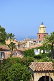 France, Var (83), Saint-Tropez,  église paroissiale Notre-Dame de l'Assomption depuis la citadelle