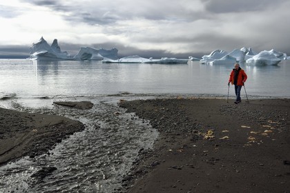 Groenland, cote ouest, Ile de Disko, baie du village de Qeqertarsuaq, randonneur sur la plage et icebergs en arrière plan