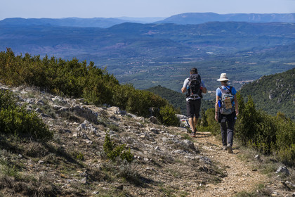 France, Hérault (34), les Causses et les Cévennes, paysage culturel de l'agro-pastoralisme méditerranéen inscrit au Patrimoine Mondial de l'UNESCO, Saint-Privat, randonneurs sur le sentier GR 74 du Mont Saint Baudille en direction de Saint-Guilhem-le-Désert