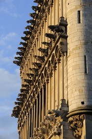 France, Côte d'Or (21), Dijon, l'église Notre-Dame (1230-1250), triple rangées de fausses gargouilles en façade