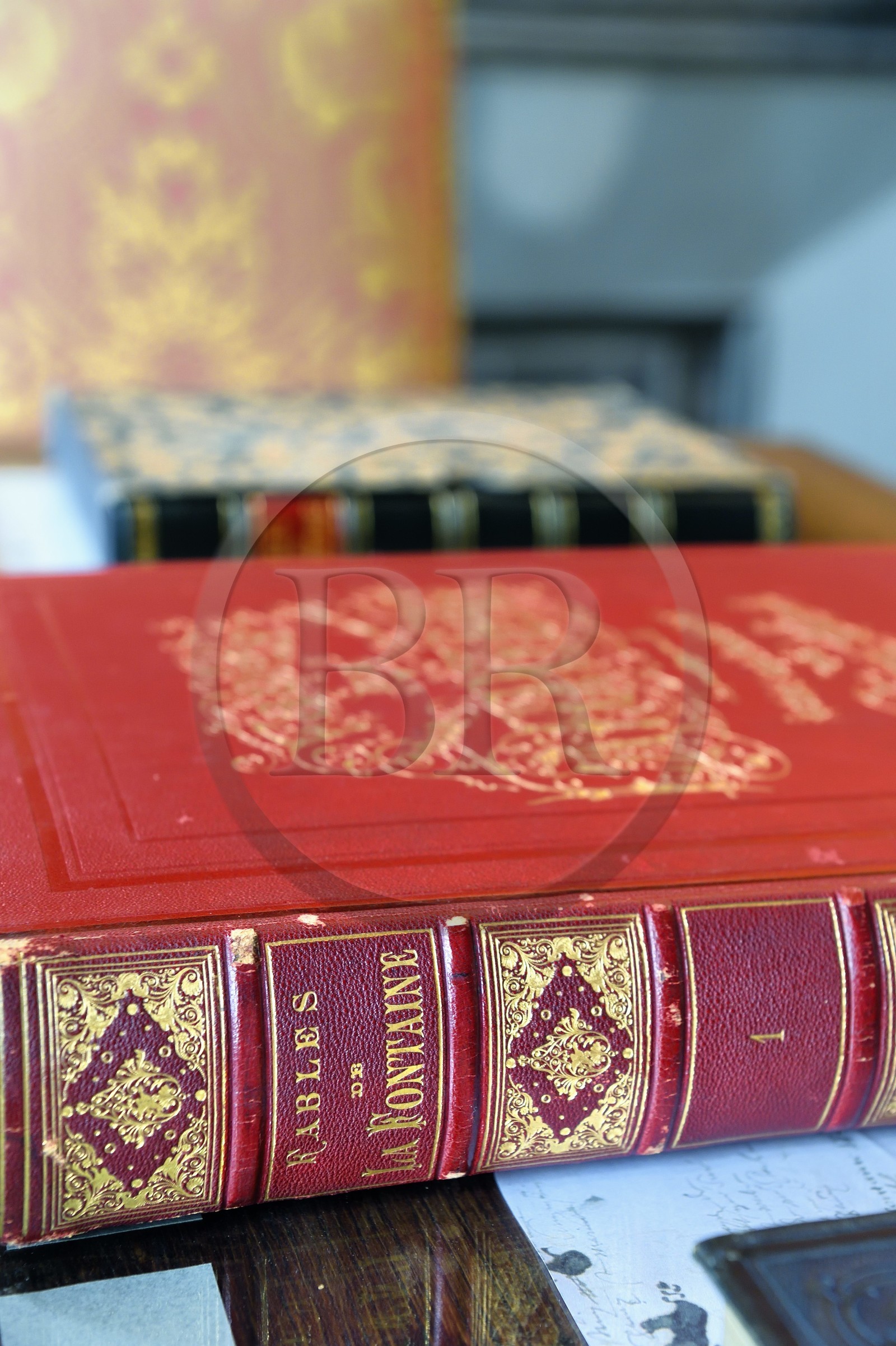 France, Aisne (02), Château-Thierry, Musée Jean de La Fontaine - Ville de Chateau-Thierry, livre des Fables de La Fontaine, L. Hachette et Cie, édition illustrée (1867, in-folio) par le dessinateur et graveur Gustave Doré