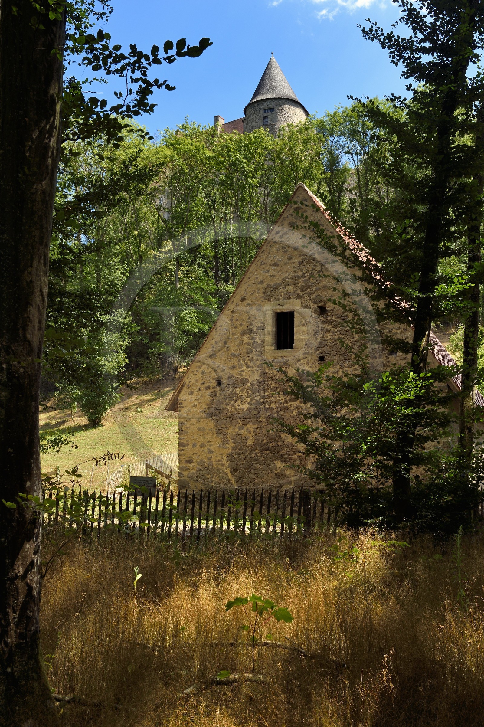 France, Allier (03), ancienne province du Bourbonnais, Chantelle, abbaye bénédictine Saint-Vincent et ancienne place forte appartenant à la famille de Bourbon, chemin de Saint-Jacques de Compostelle, le vieux moulin