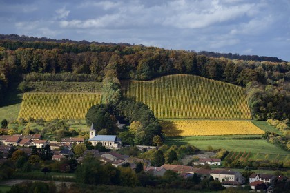 France, Meuse (55), Parc régional de Lorraine, Cotes de Meuse, le village de Viéville-sous-les-Côtes au pied d'un vignoble