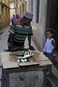 Tanzanie, archipel de Zanzibar, île de Unguja (Zanzibar), ville de Zanzibar, quartier Stone Town, classé Patrimoine Mondial de l' UNESCO, vendeur ambulant de poisson dans une ruelle de la vieille ville dans le quartier de Shangani