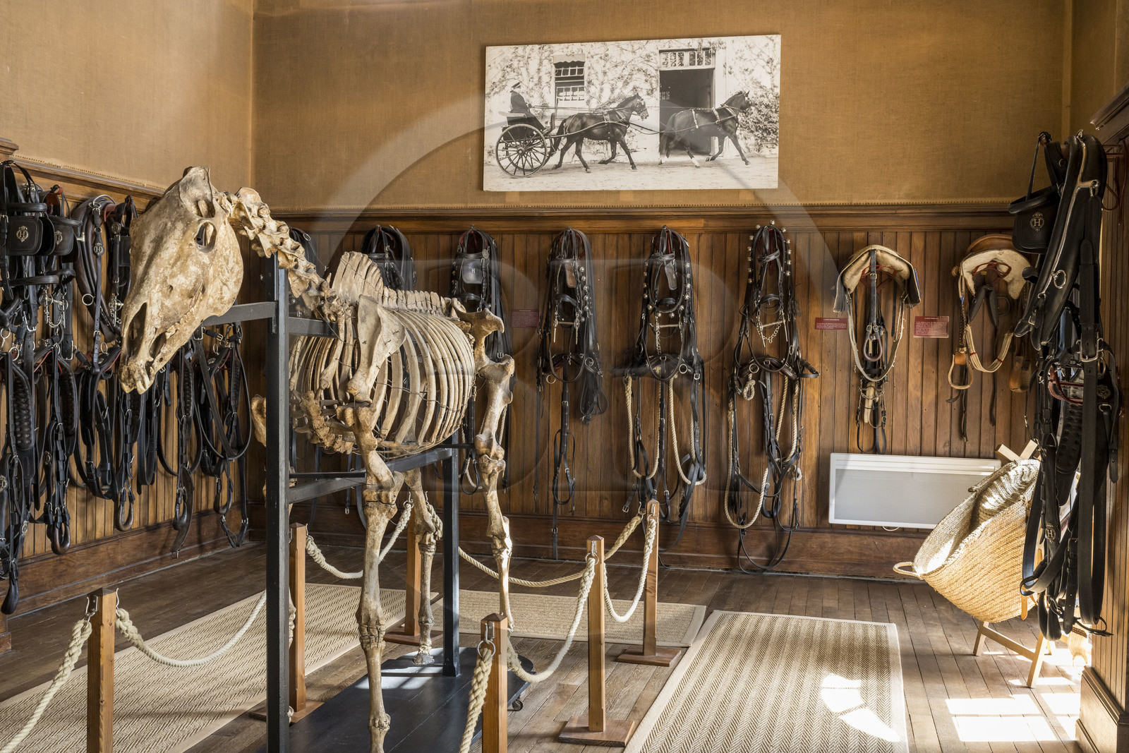 France, Vendée (85), La Roche-sur-Yon, sellerie d'honneur du Haras de la Vendée ancien haras national conçu par Joseph Mallet (1846)