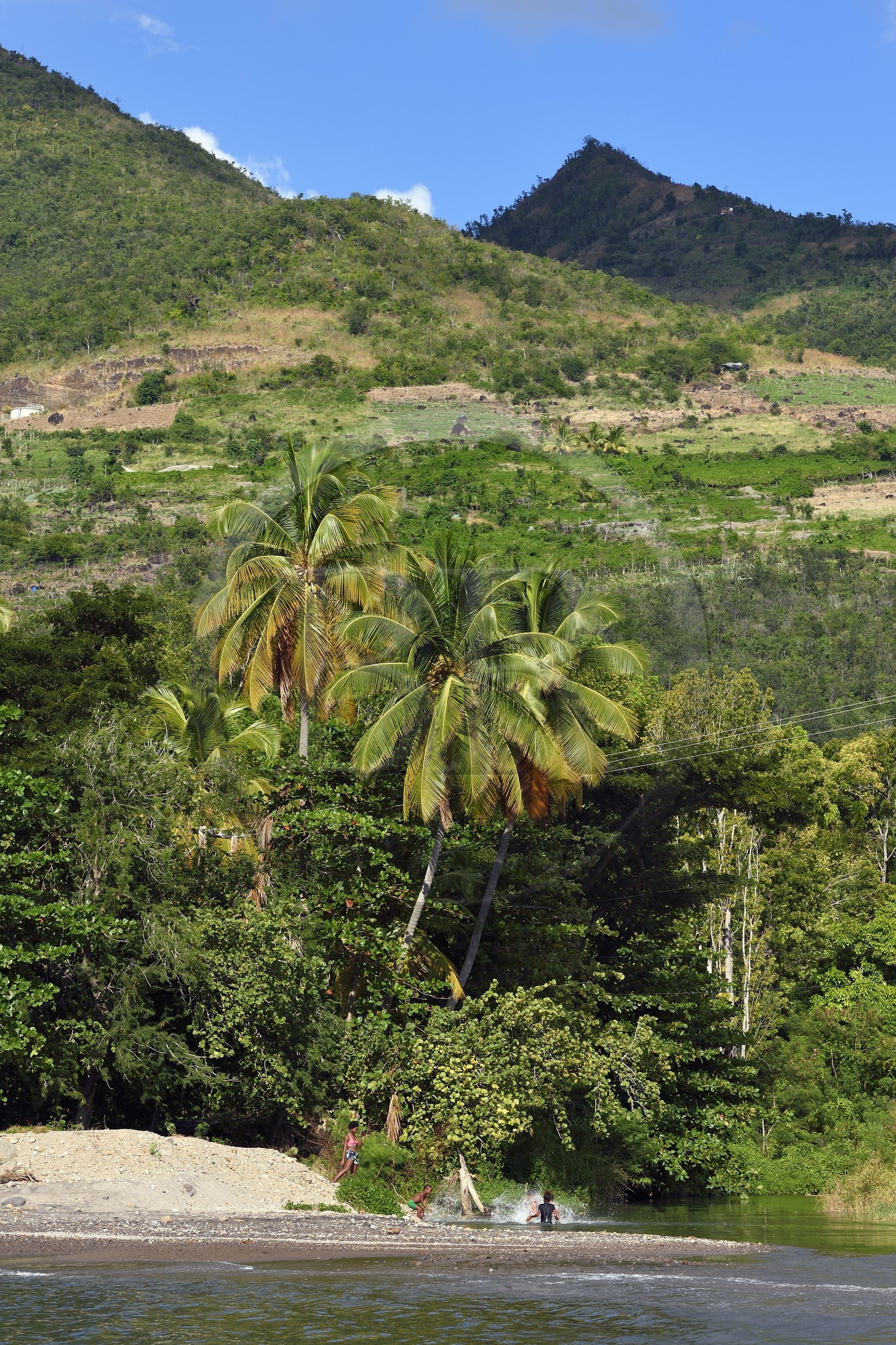 Caraïbes, Ile de la Dominique, Coulibistrie, Batalie Beach et estuaire de la rivière Coulibistrie