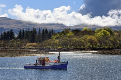 Royaume-Uni, Ecosse, Highland, Hébrides intérieures, Ile d'Ulva proche de la cote ouest de l'Ile de Mull