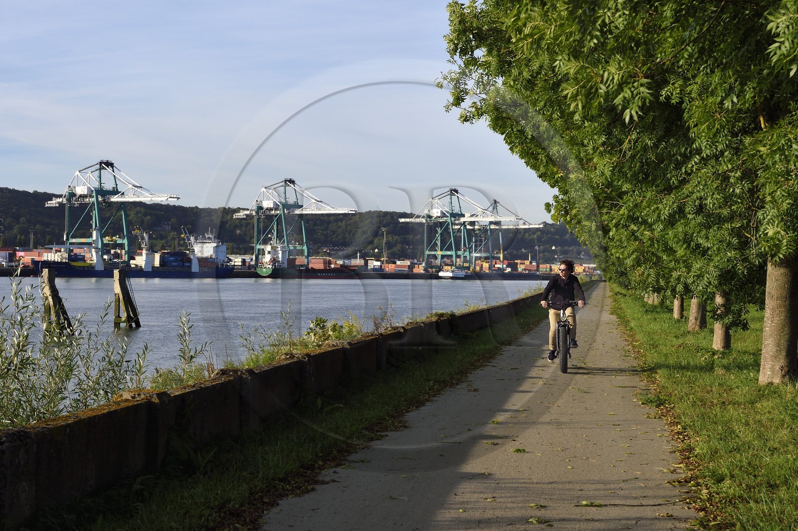 France, Seine-Maritime (76), Parc naturel régional des Boucles de la Seine normande, Hautot-sur-Seine, cycliste sur la veloroute face au Grand Port Maritime de Rouen