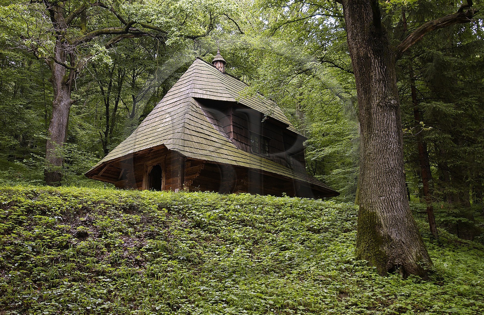 Pologne, Précarpates, parc ethnographique de Sanok (écomusée), église orthodoxe en bois de 1750 de la région de Bojkowie, classée Patrimoine Mondial de l'UNESCO