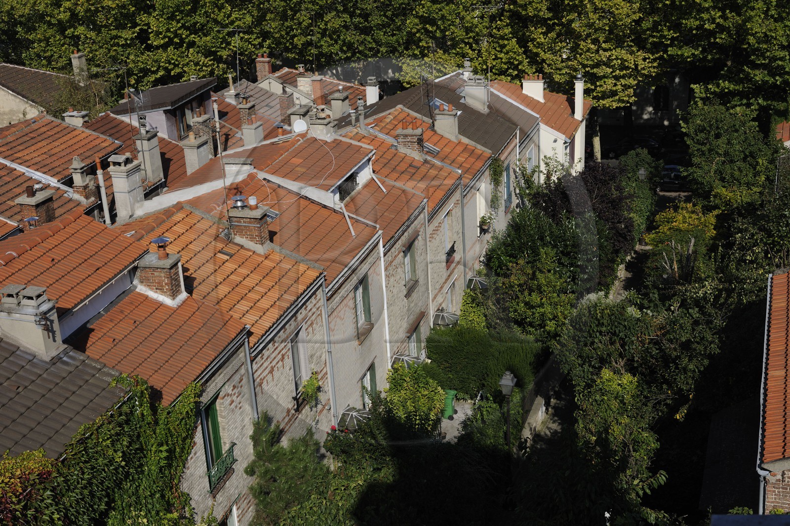 France, Paris (75), 20ème arr, La campagne à Paris du quartier Mouzaïa maisons avec jardins au coeur de la ville