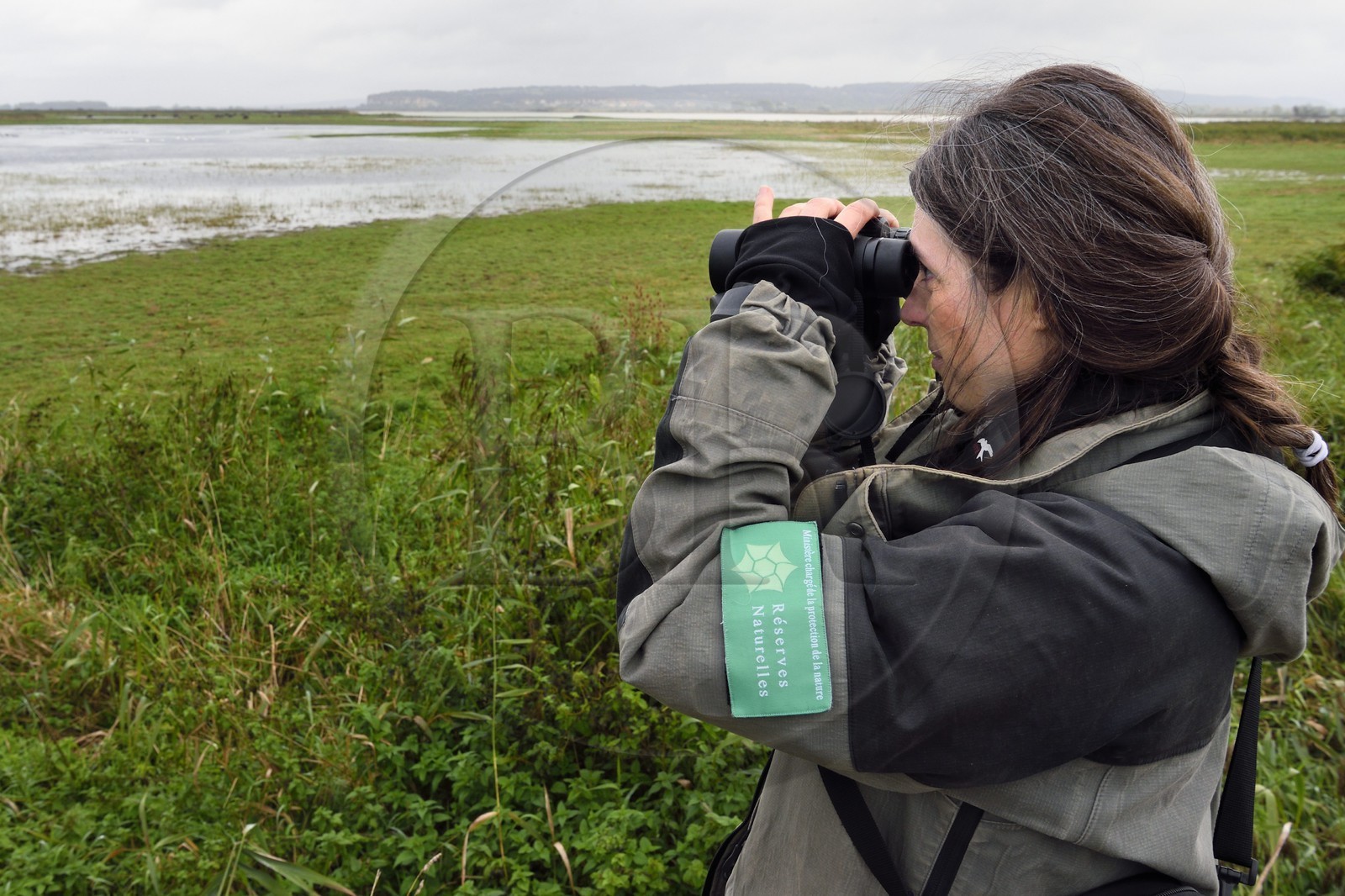 France, Seine-Maritime (76), Réserve Naturelle de l'estuaire de la Seine, Stephanie Reymann de la Maison de l'Estuaire