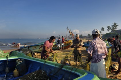 Sri Lanka, Province de l'Ouest, Negombo, pecheurs triant leurs filets sur la plage de Porathota