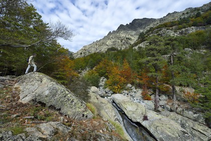 France, Haute-Corse (2B), Vivario, GR 20, étape entre le refuge de l'Onda et Vizzavona, foret de Vizzavona, les cascades des anglais, groupe de cascades dans la vallée de l'Agnone au pied du Monte d'Oro