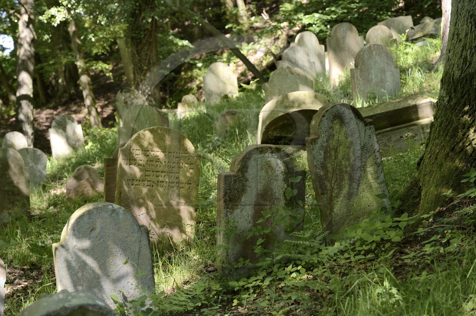 France, Bas-Rhin (67), Saverne, ancien cimetière juif