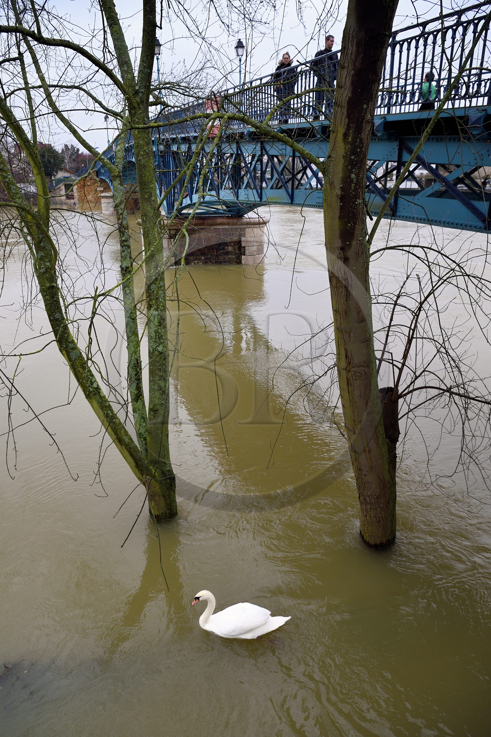 France, Val-de-Marne (94), les bords de Marne, la passerelle entre Le Perreux-sur-Marne et Bry-sur-Marne en arrière plan
