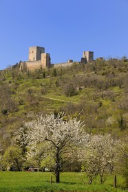 France, Aude (11), le château cathare de Puivert du XIIe siècle