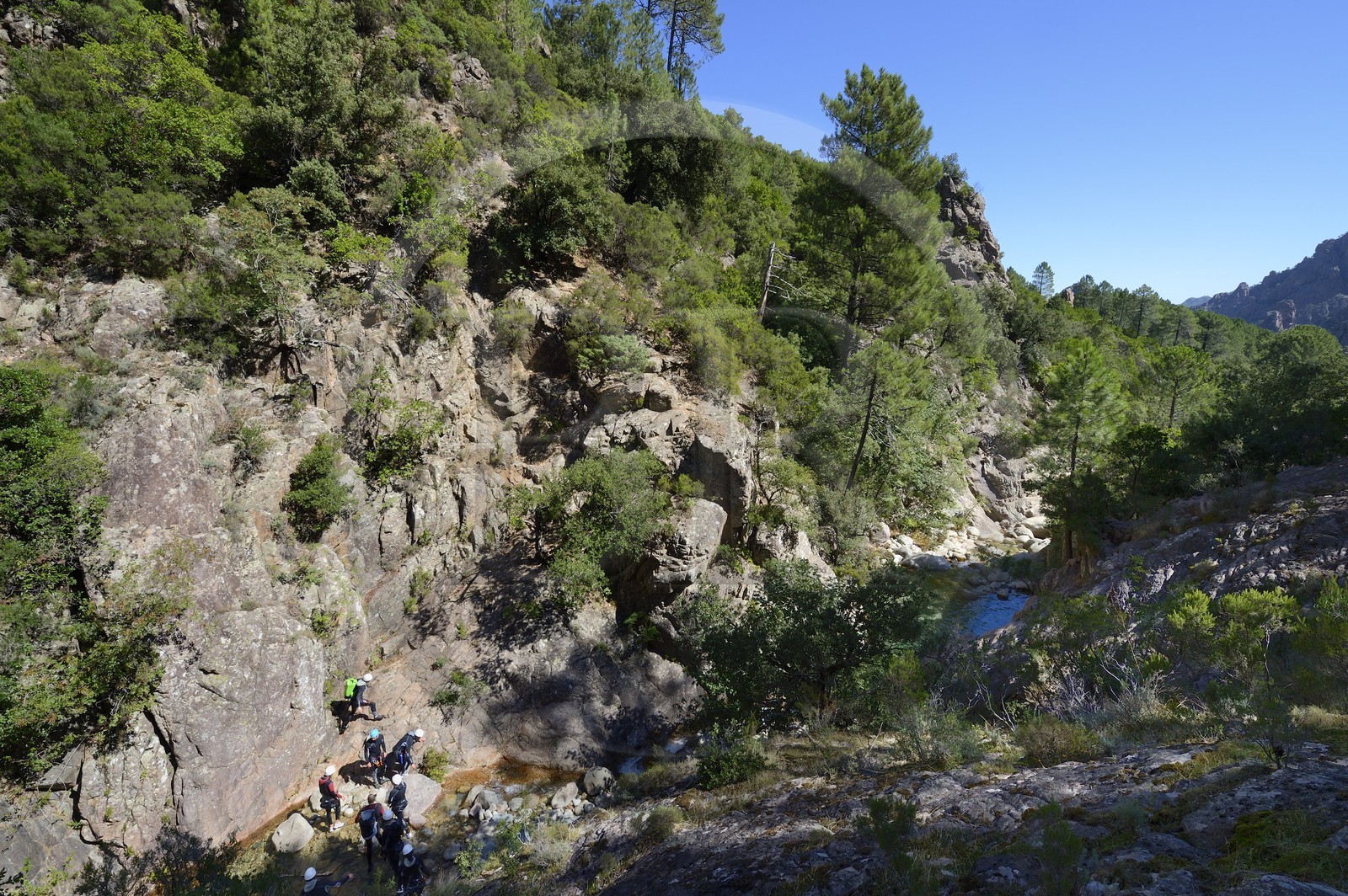 France, Corse-du-Sud (2A), Alta Rocca, Bavella, canyoning dans le torrent de Polischellu