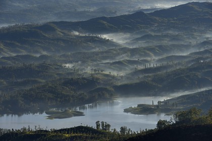 Sri Lanka, province du centre, Dalhousie, paysage sur le réservoir Maussakelle depuis le sommet du Pic d'Adam (Adam's Peak)