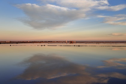 France, Aude (11), Narbonne, les Corbières, Gruissan, Les Salins à La Cambuze du Saunier