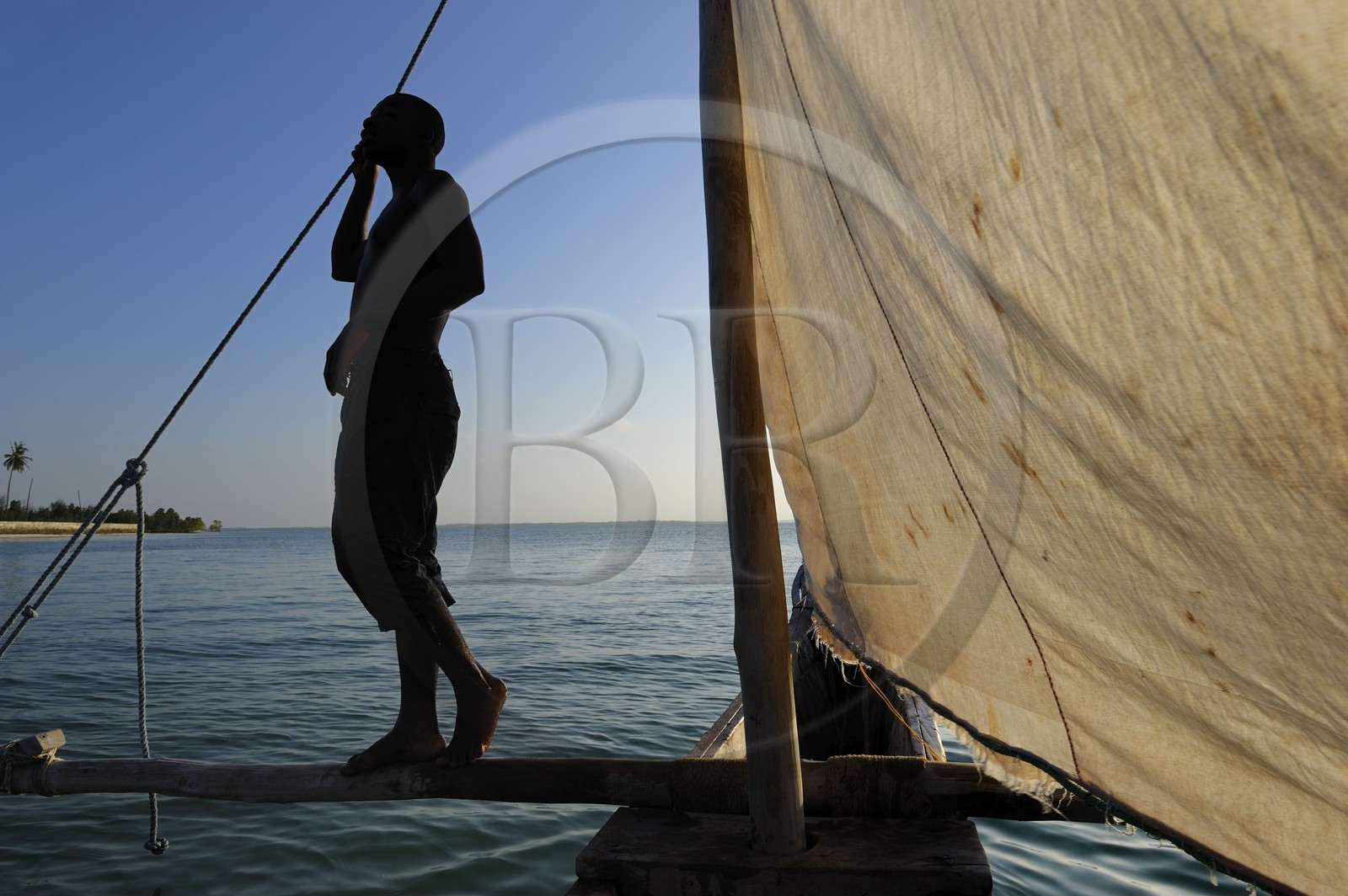 Tanzanie, archipel de Zanzibar, île de Unguja (Zanzibar), côte est, baie de Chwaka vers Michamvi, un dhow (boutre traditionnel)