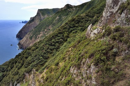 Portugal, Ile de Madère, randonnée de Machico à Porto da Cruz par le Vereda do Larano, randonneurs sur le sentier taillé à flanc de paroi dans la falaise de Larano