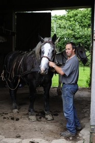 France, Nièvre (58), lac de Pannecière, Alain Perruchot agriculteur et éleveur de chevaux au commande de son attelage