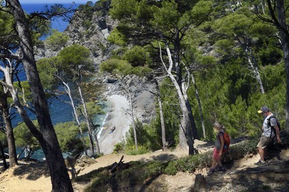 France, Var (83), Six-Fours-les-Plages, randonnée dans le massif du Cap Sicié, plage du Mont Salva vers Le Brusc
