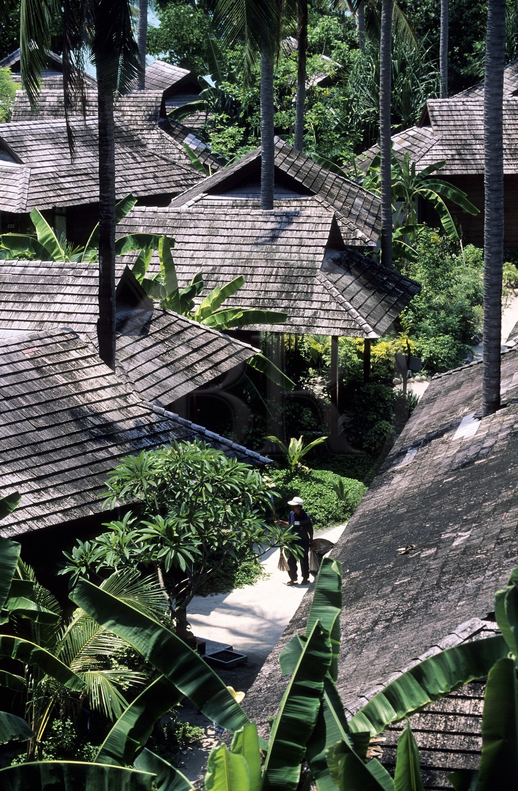 Thaïlande, Archipel de Ko Phi Phi, île de Phi Phi Don, cabanons d'un resort à Ton Sai Bay